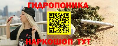 МДПВ Рыбинск