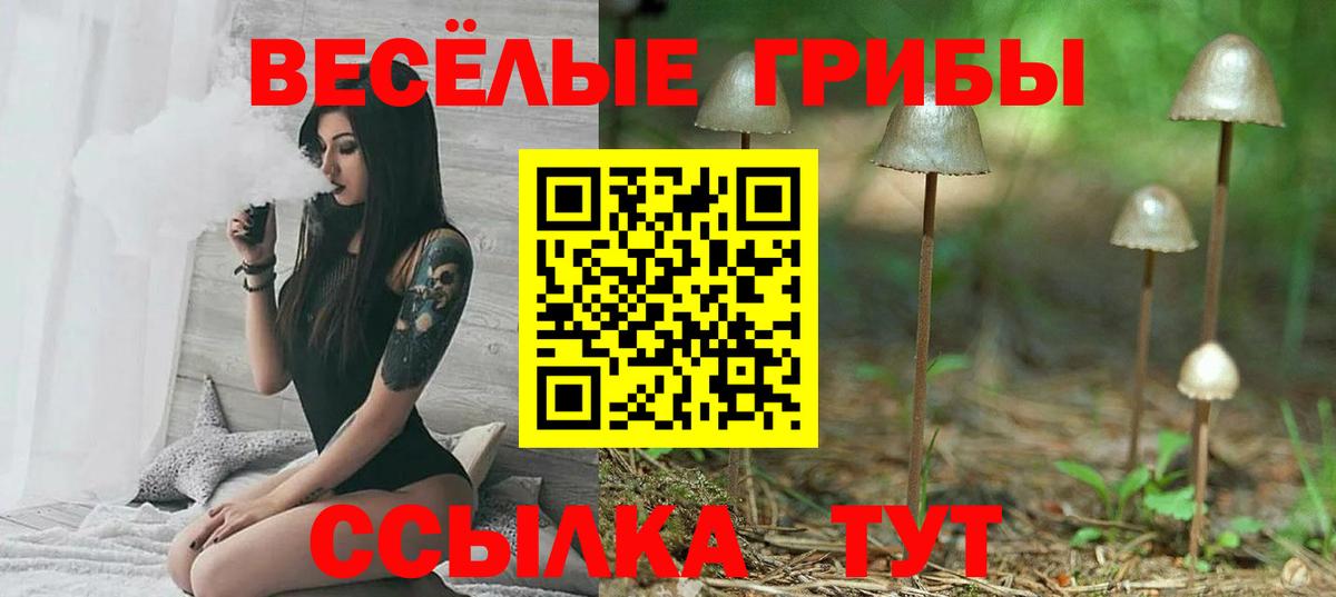 Галлюциногенные грибы Magic Shrooms Ржев